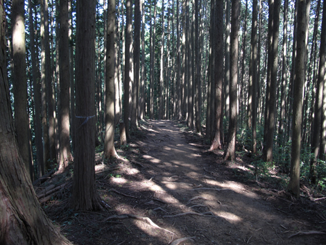 20150929hike (31)